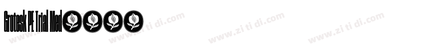 Grotesk PE Trial Med字体转换